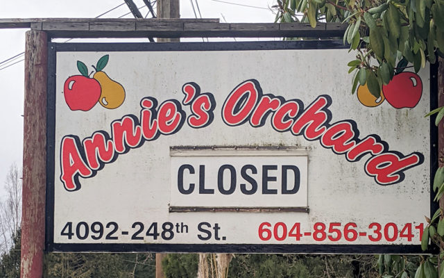 orchard billboard